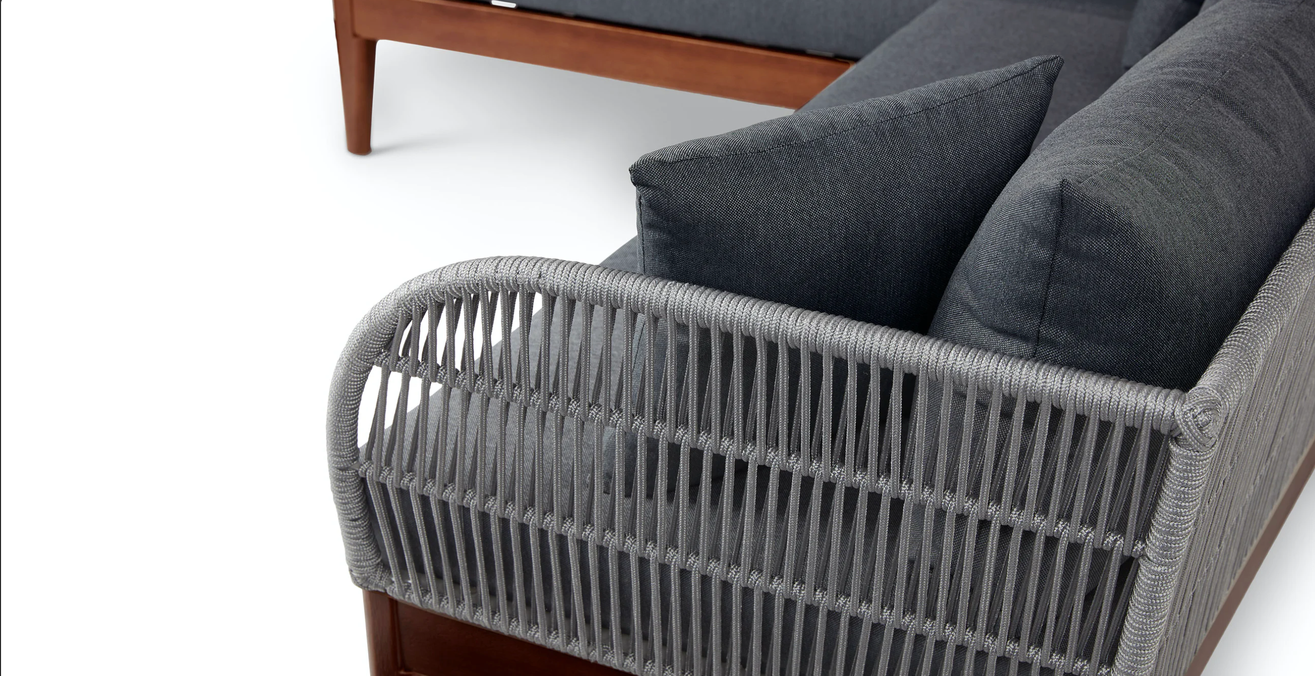 ماهي على شكل حرف L