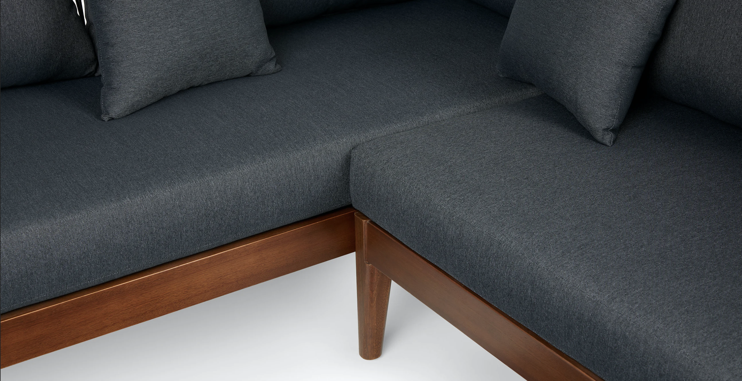 ماهي على شكل حرف L