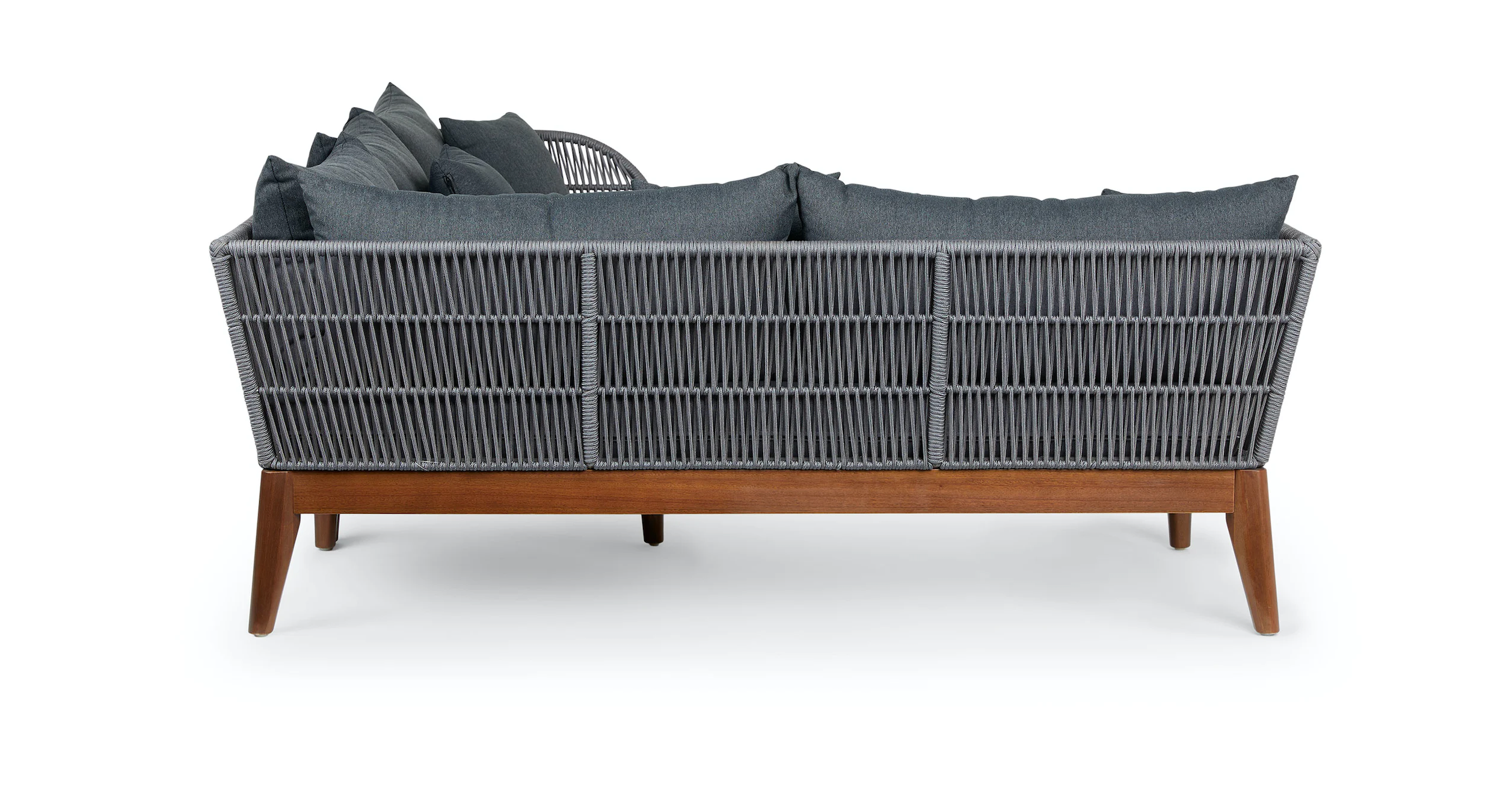 ماهي على شكل حرف L